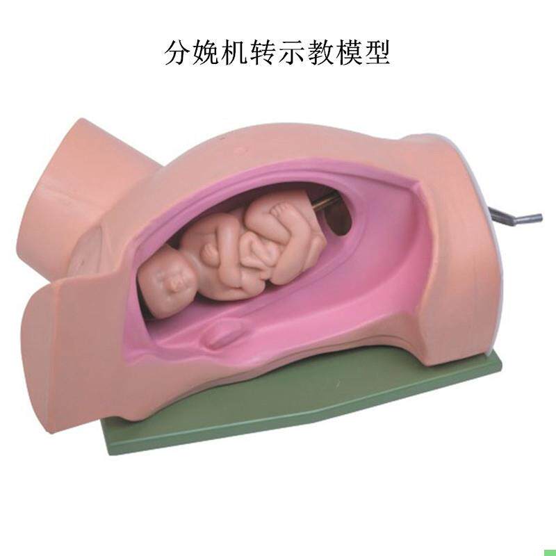 高级分娩机转示教模型妇幼产科胎儿接生助产演示过程难产护理模具