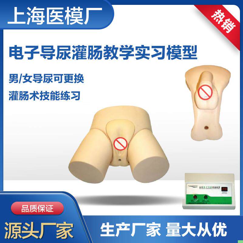 电子导尿灌肠教学实习模型 高级男女可互换护理导尿模型护理实习
