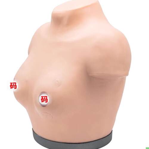 高级乳腺视诊与触诊检查模型 乳腺视诊检查模型
