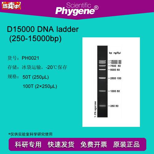 DNAladder(250-1o5000bp)100TDNAMarker[PH0021PHYGENE]