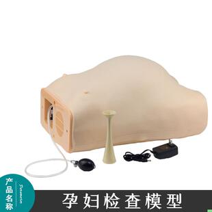FW2高级电脑孕妇检查模 产前检查妇产科训练模型 腹部触诊模型