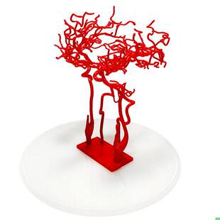 ENOVO颐诺大脑血管模型 大脑动脉脑血管造影 颈动脉大脑前后循环