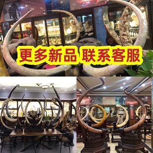 天然猛犸象牙摆件原牙整根大牙尖单摆大对牙对摆牙雕猛犸摆件文玩