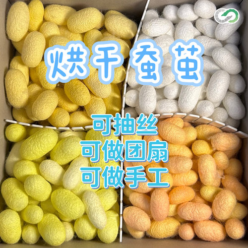 完整蚕茧烘干茧彩茧彩茧蚕丝diy手工茧真丝团扇红茧黄茧绿茧白茧