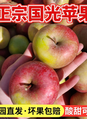 正宗东北国光苹果老树小国光老果光新鲜水果酸甜口味5斤多省包邮