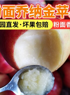乔纳金苹果烟台粉面辅食新鲜水果