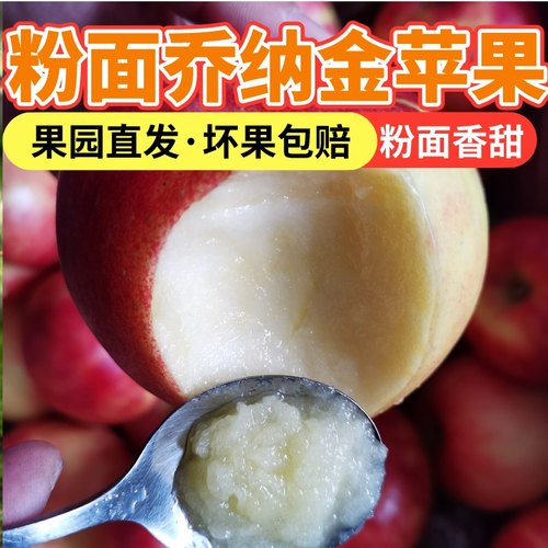 乔纳金苹果烟台粉面辅食新鲜水果