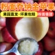 大连乔纳金苹果易粉面宝宝刮泥辅食老人新鲜水果食用5斤多省 包邮