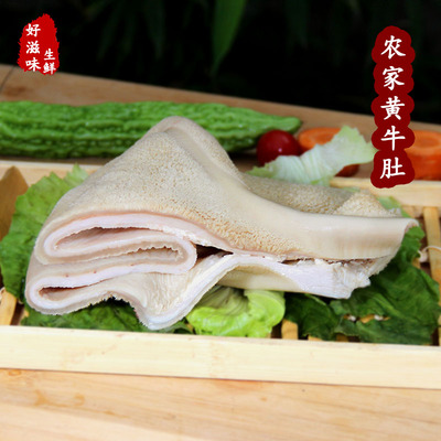 熟牛肚 新鲜黄牛肚 当天现煮火锅食材另有牛蹄筋 牛头肉 牛杂