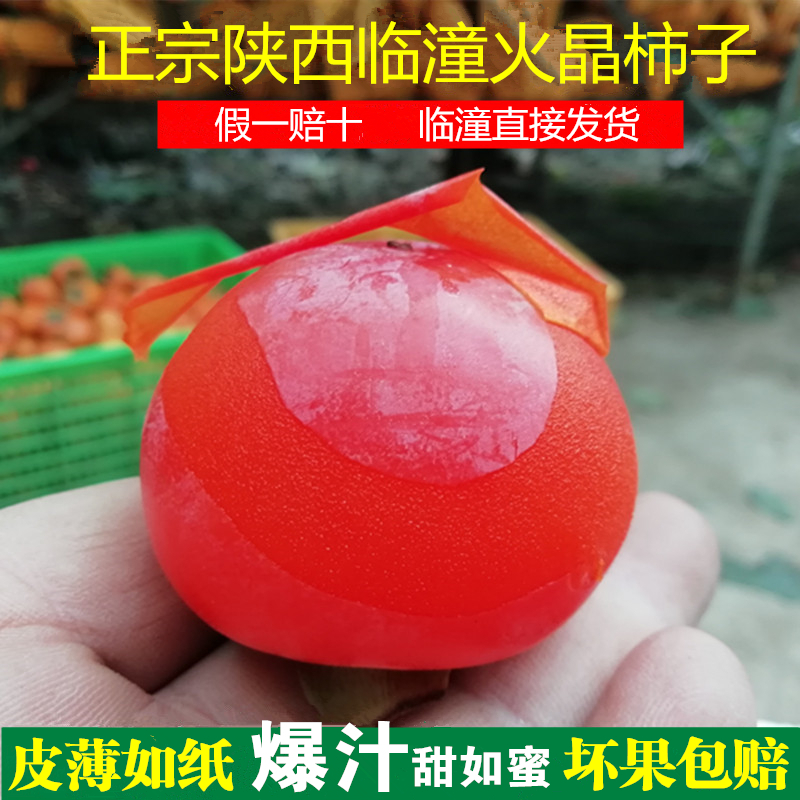 正宗临潼火晶柿子放软吃甜如蜜