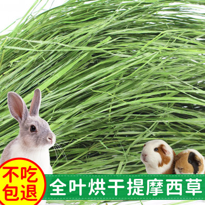 2023优质南提草1kg烘干提摩西草 兔子荷兰猪龙猫牧草叶子多香嫩绿