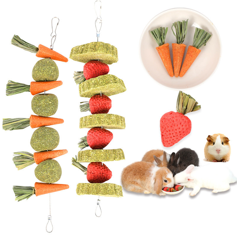 兔子仓鼠磨牙零食磨牙串串玩具造景胡萝卜草莓金丝熊荷兰猪磨牙棒,宠物/宠物食品及用品,兔兔磨牙,淘宝优惠券,粉丝福利购,淘宝优惠卷