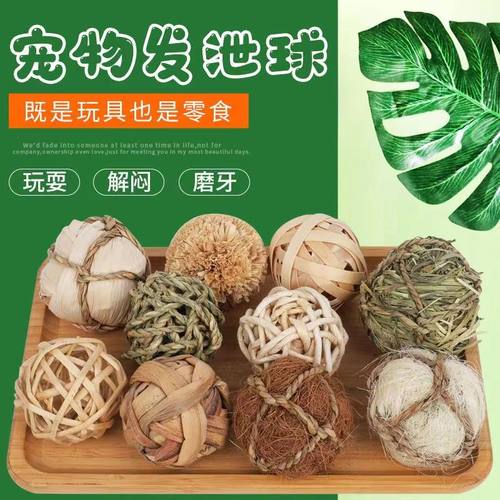 草球玩具兔子训练解闷豚鼠龙猫