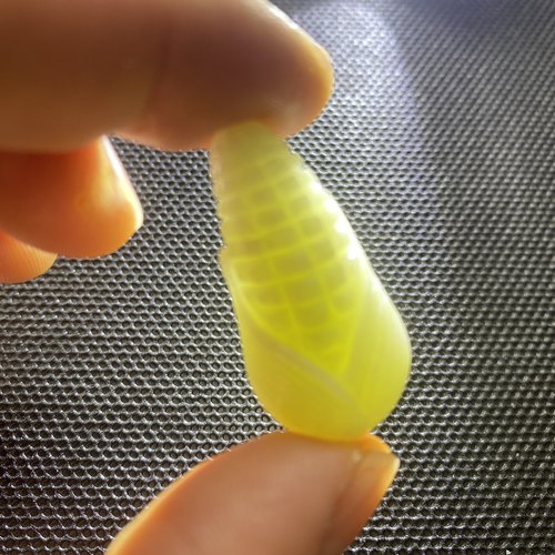 陕西天然正品蓝田玉玉米吊坠挂坠岁岁平安招财进宝子孙满堂包邮