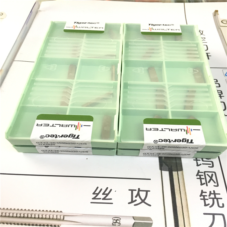 原装瓦尔特GX24-2E300N030-UD6 WAM20  GX24-2E300N030-GD6 WAM20