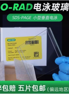 电泳实验Western Blot长玻璃板厚板 短玻璃板薄板通用伯乐Bio-rad