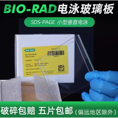 电泳实验Western Blot长玻璃板厚板 短玻璃板薄板通用伯乐Bio-rad