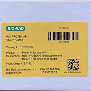 实验Western Blot玻璃短板WB电泳薄玻璃板短板 通用伯乐Bio-Rad