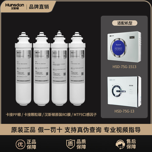 汉斯顿净水器原装正品滤芯1513