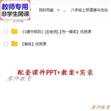 部编人教道德与法治八上《遵守规则》公开课课件PPT教案视频教师