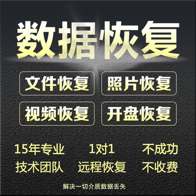 电脑移动硬盘数据恢复u盘内存sd卡维修服务照片视频文件软件修复