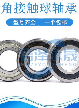 双列角接触轴承3200 3201 3202 3203 3204 3205 3206 3207-ZZ 2RS