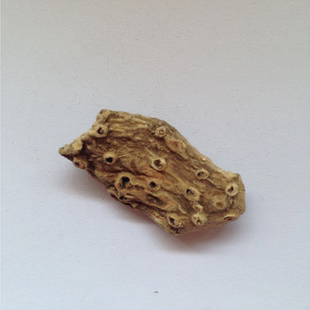 高约翰根 伊丽莎白女王根 草本自然场景瓶子填充干草本根材料