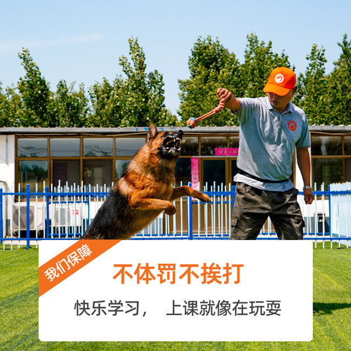 一对一训犬狗狗视频训练课程