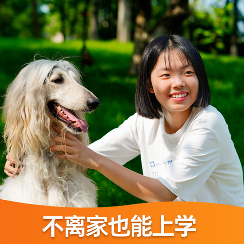 北京训练亲子训练训犬学校上门