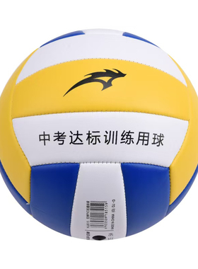 狂神中考排球5号蓝白黄色硬排中小学生教学中考儿童成人排球