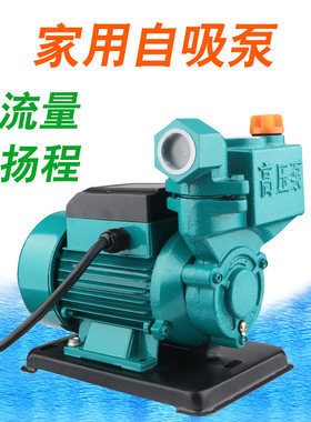 直流12v48v船用洗车园林自吸泵