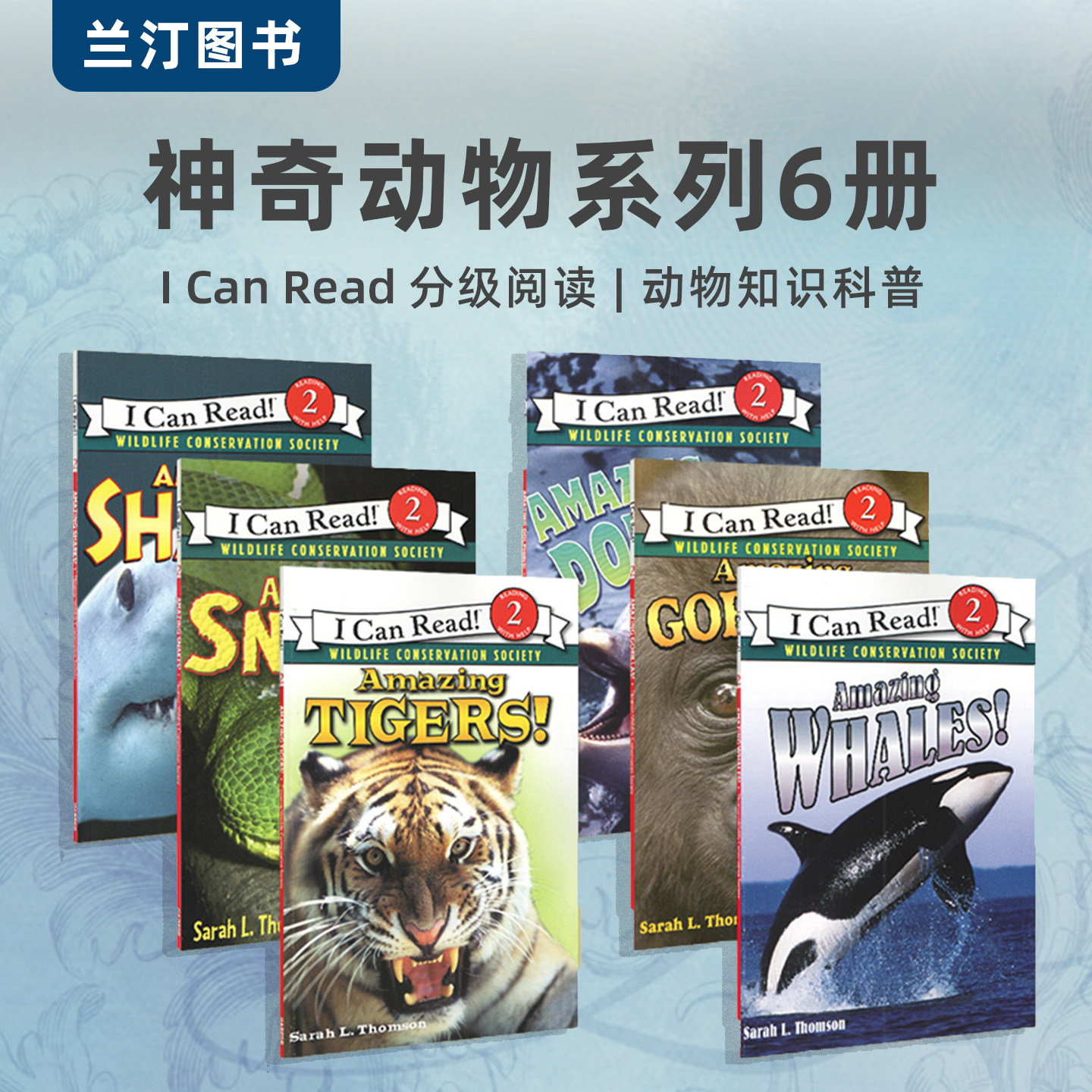神奇的动物 英文原版 6册 I Can Read 2 Level Amazing Whales! 神奇的鲸鱼 老虎 蛇 大猩猩 儿童原版英文绘本英语故事书