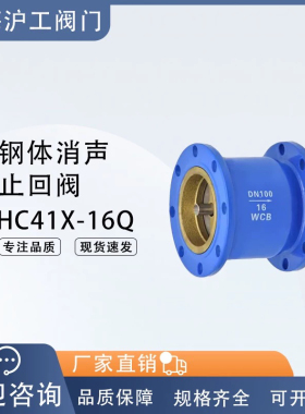 上海沪工阀门消声止回阀立式法兰止逆阀单向阀H41X-16(HC41X-16Q)