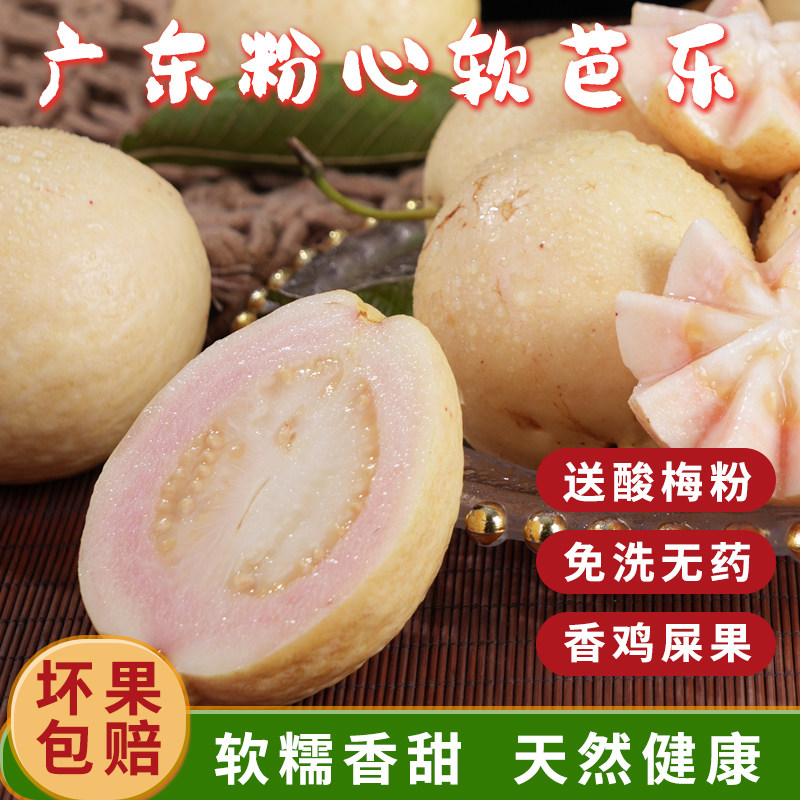 【香软糯甜】广东番石榴胭脂红软糯心芭乐低糖当季新鲜水果鸡屎果