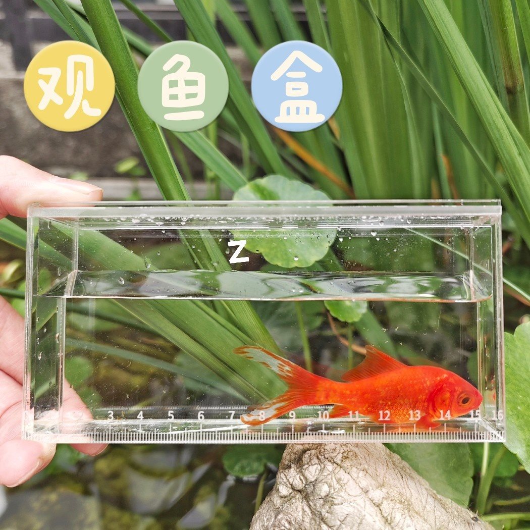 观鱼盒小物钓野采观鱼盒透明水晶带刻度观鱼器溪流鳑鲏路亚观鱼盒