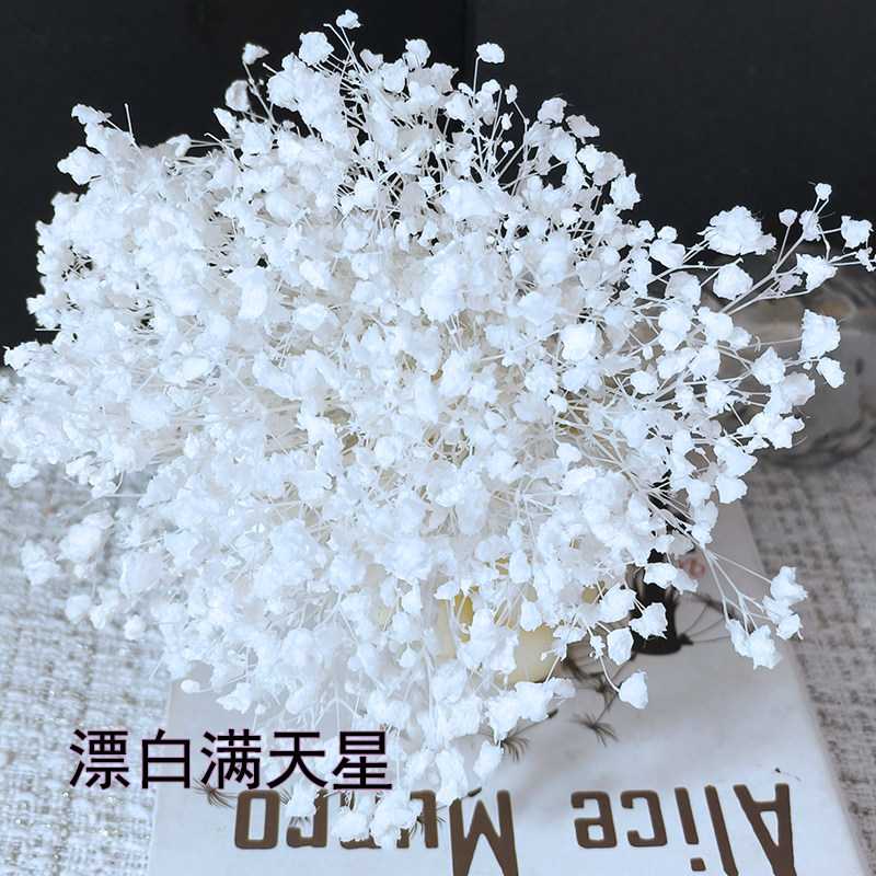 白色梦幻星满天星干花永生花材料