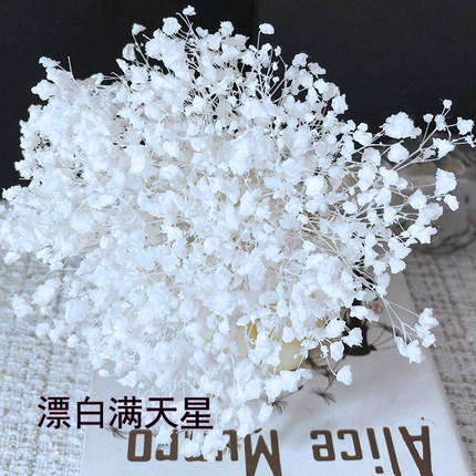 白色梦幻星满天星干花永生花插花婚礼花材花束婚庆装饰布置材料