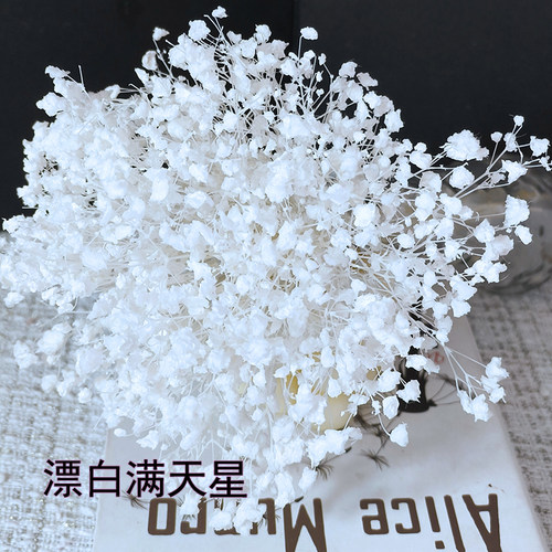 白色梦幻星满天星干花永生花材料