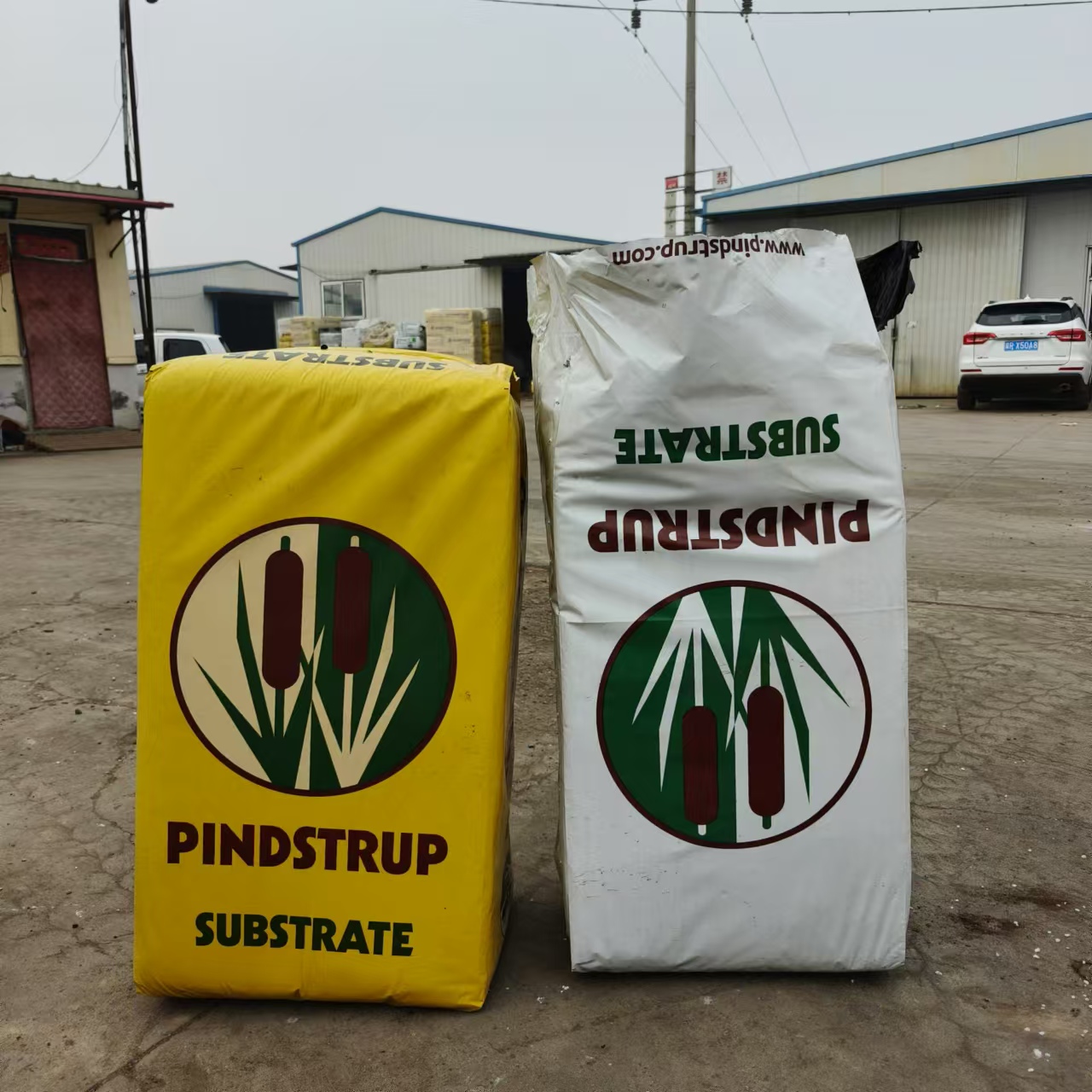 丹麦品氏黑森林泥炭土彩兰营养土