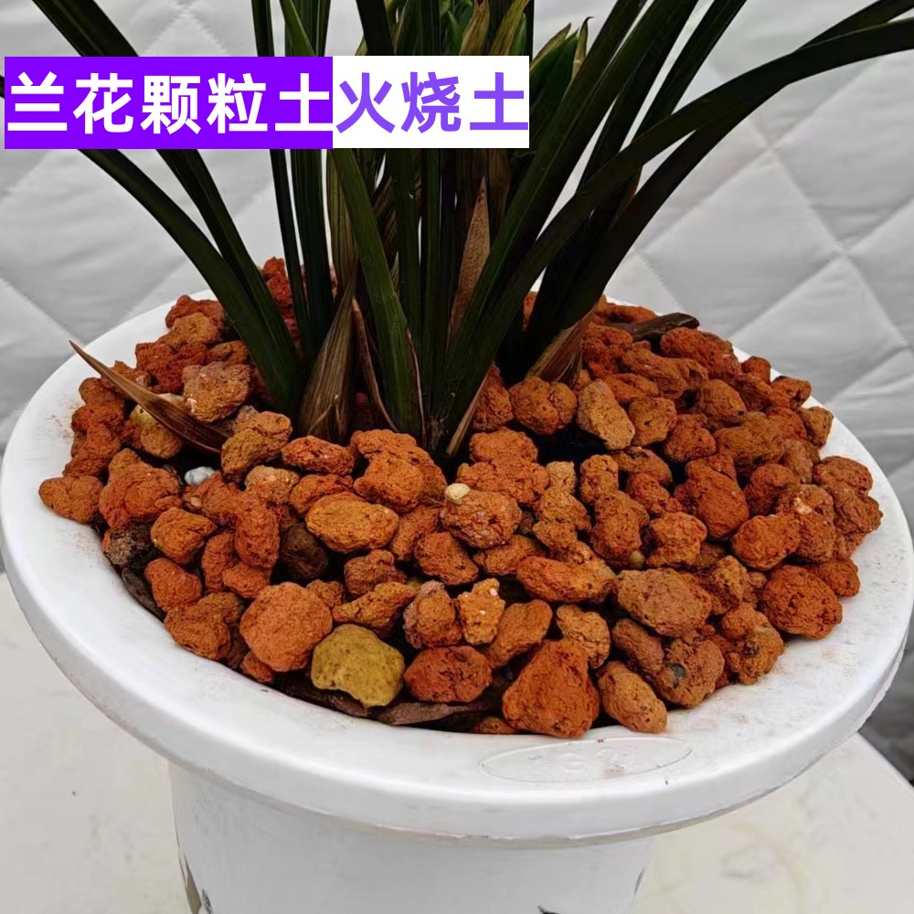 兰花植料多孔透气多孔透气兰花