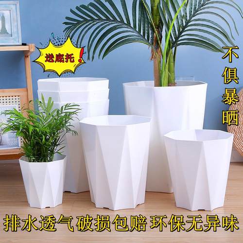 15厘米钻石盆大型绿植花盆