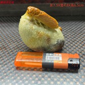 奇纹石鸡血石XK1280手工老青田封门黄金耀俏雕一鸣惊人石雕小摆件