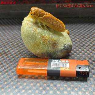 奇纹石鸡血石XK1280手工老青田封门黄金耀俏雕一鸣惊人石雕小摆件