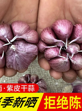 2024年云南紫皮干大蒜头批发干蒜头腊八蒜大蒜种子红皮香蒜籽土蒜