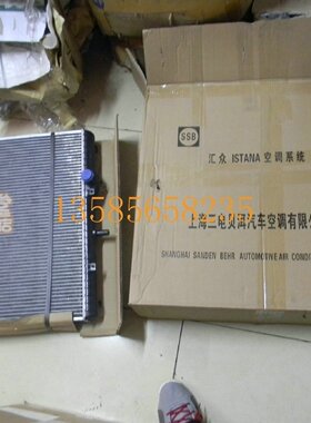 上海汇众水箱双龙面包伊斯坦纳水箱ISTANA奔驰MB100水箱散热器