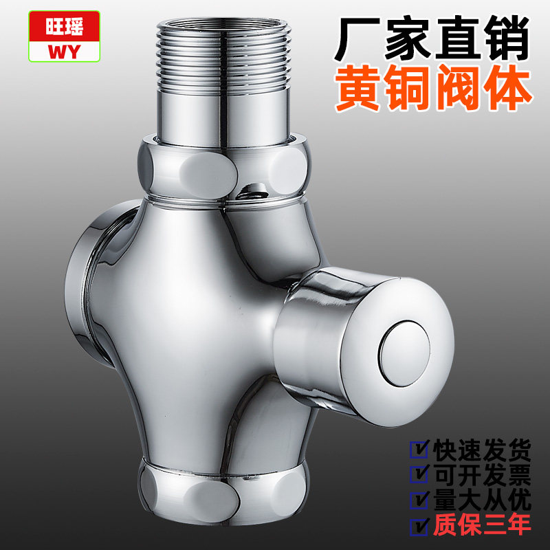 手按式蹲便器冲洗阀 卫生间全铜延时冲水器 大便池冲水阀蹲坑开关