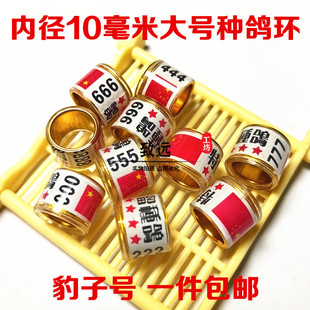 大号特留种鸽环大内径 鸽子足环脚环 赛鸽信鸽豹子号成年信鸽足