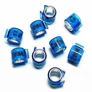 2026年统一外籍荷兰比利时荷兰刻字 足环信鸽定制私环种鸽环