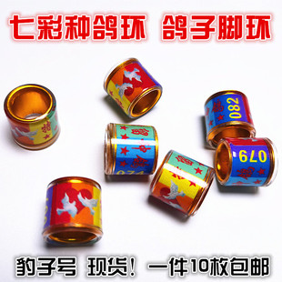 2026年鸽子足环七彩种鸽环现货豹子号留种环赛鸽脚环观赏鸽识别环