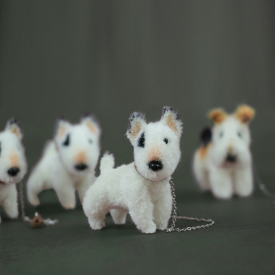 牛头梗怎么在家做基础体检，别被那些花哨的智能设备忽悠了